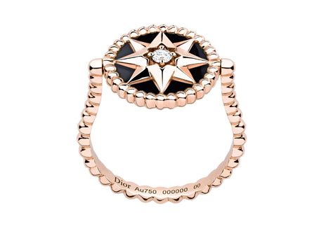 dior rosa dei venti|Dior rose des vents jewelry.